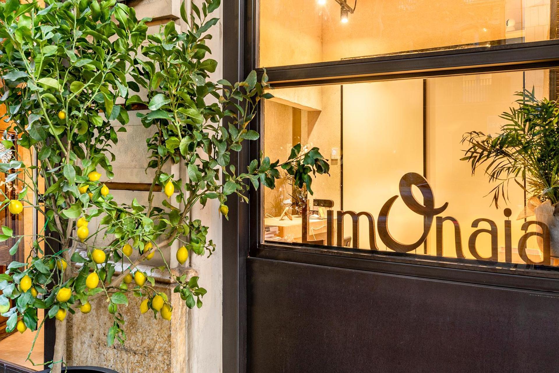 Hotell Limonaia 3*
